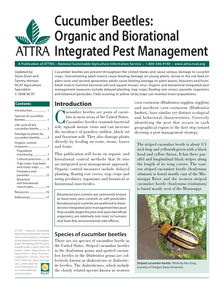 Integrated Pest Management: The Eco-Friendly Solution to Pesky Pests