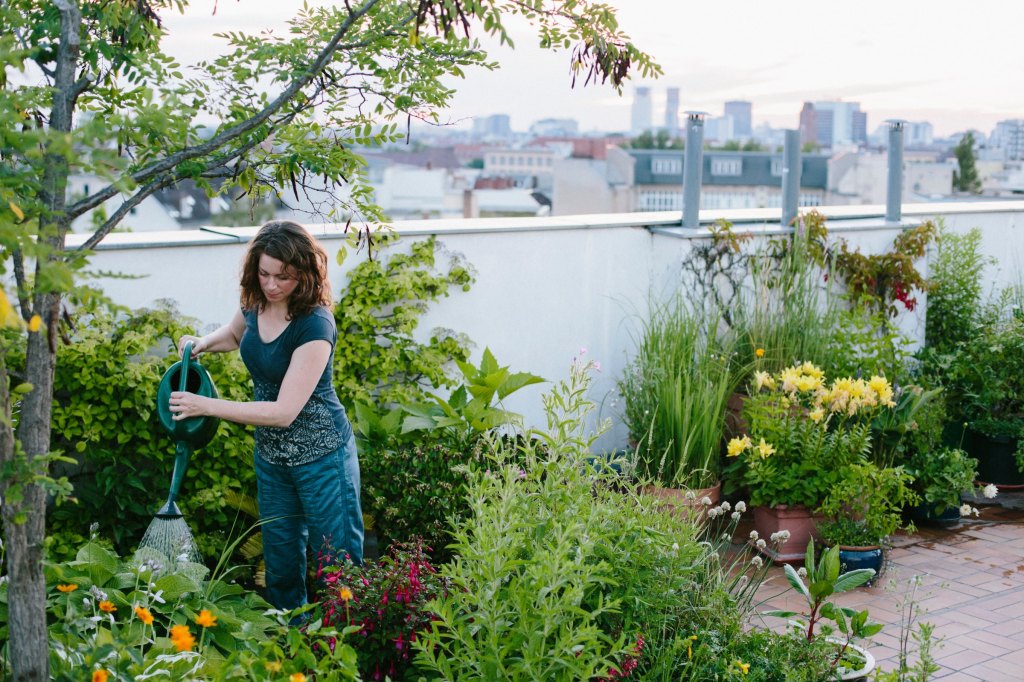“Growing Green in the Concrete Jungle: Exploring Innovative Urban Gardening Practices”