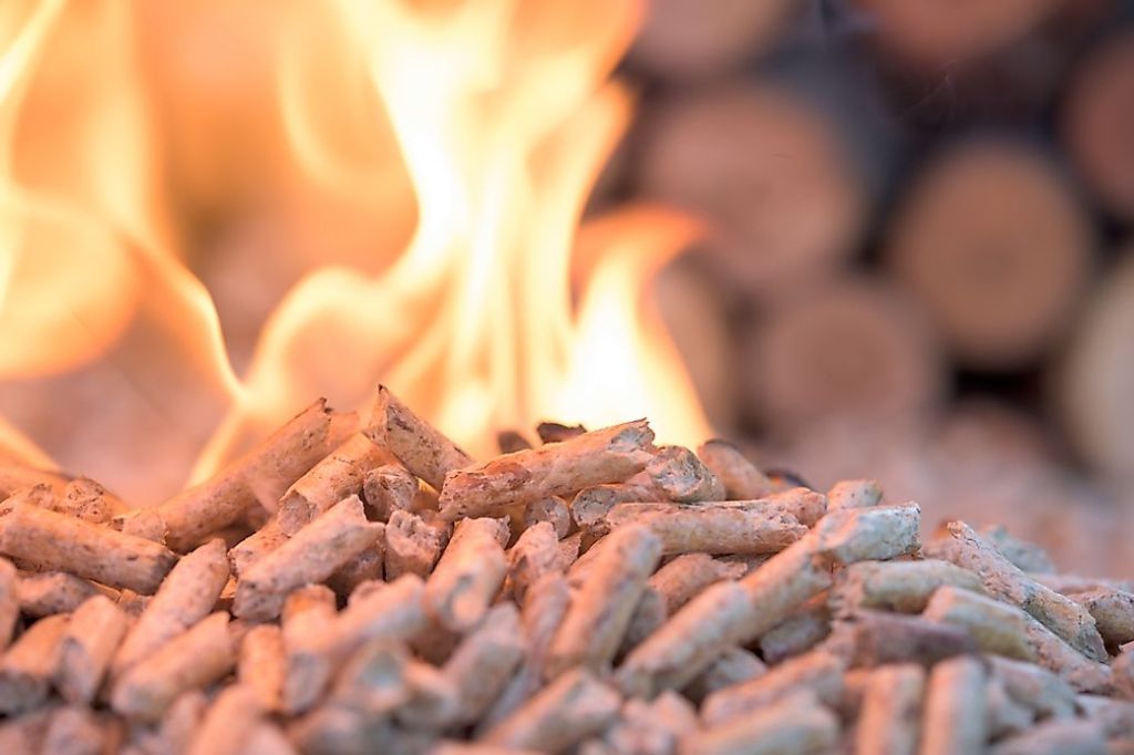 Biomass Energy: Fueling a Greener Future