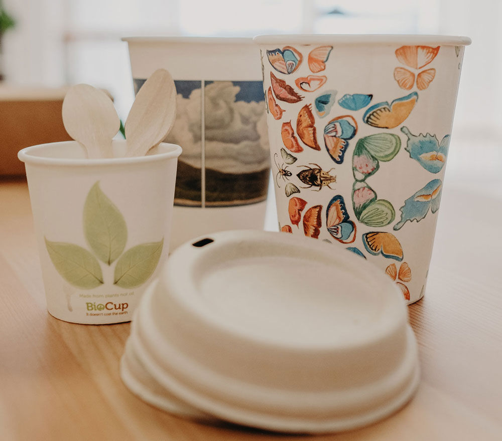 The Cost of Going Green: Considerations for Compostable Packaging