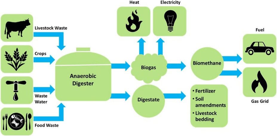 “Global Momentum: Biogas and RNG Projects Thriving Across Continents”