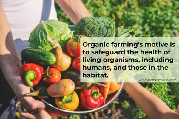 “Organic Farming: Cultivating Sustainability for a Greener Future”